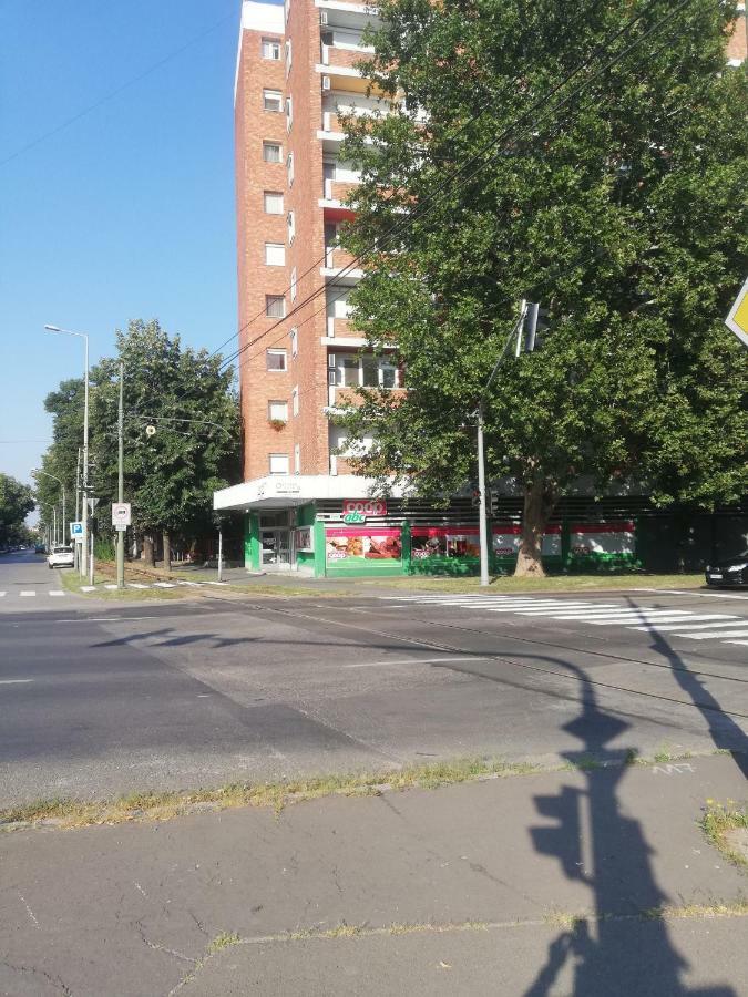 Kis Becsi Apartman Szeged Exterior photo